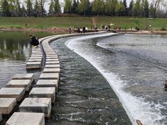 -洨河生态公园