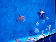 -沈阳海洋探索中心