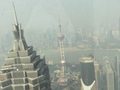 -上海柏悦酒店·世纪100牛排馆