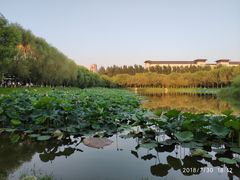 -吉林大学(前卫南区)