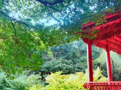 -杭州少年儿童公园