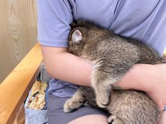 -瑞鹏宠物医院犬猫全科(真大分院)