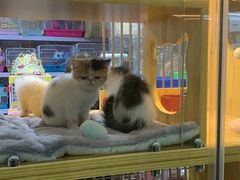 -三旗百汇商品城