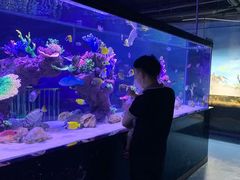 -邯郸海洋世界