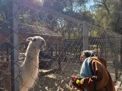 -长白岛森林公园