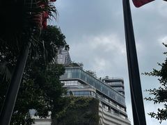 -星光大道