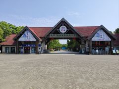 -上海海湾国家森林公园