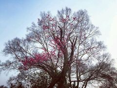 -御庭精品酒店(秦淮河店)