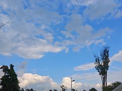 -三圣花乡旅游区