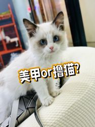 -WH日式美甲沙龙