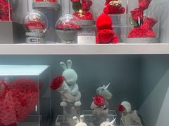-ROSEONLY诺誓(国际广场购物中心店)