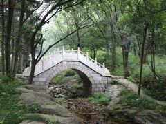 -内乡宝天曼生态旅游区