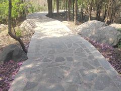 -封龙山风景区