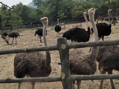 -西安秦岭野生动物园