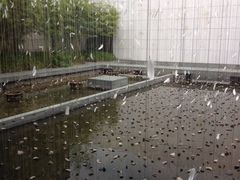 iphone_upload_pic-浙江西湖美术馆