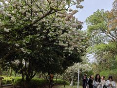 -敬亭山风景名胜区