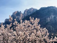 -崂山九水游览区