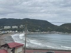 -伊豆观海列车