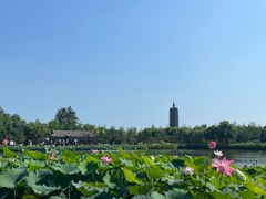 -西海子公园