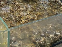 -半岛听涛蒸汽海鲜自助(K11店)