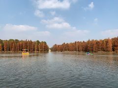 -上海海湾国家森林公园