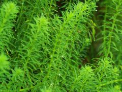 -行人小筑·茶馆(岑村火炉山分店)