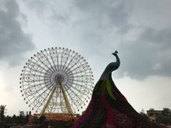 -七彩云南欢乐世界