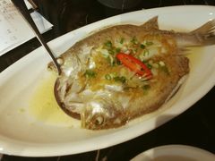 姜蓉鸡油鲈鱼-南国会酒家(岗顶1站广场店)