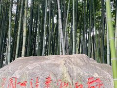 -上海醉白池公园