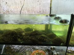 -合家小菜餐馆(新诚花苑店)