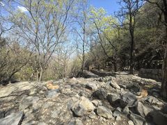 -北京鹫峰国家森林公园