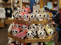 -熊猫屋(宽窄巷子景区店)