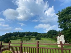 -棒棰岛宾馆景区