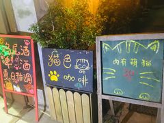 -猫色咖啡·猫咖