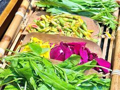 -菌自由丨野生菌火锅特色庭院餐厅(丽江古城店)