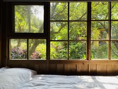 -天门沟九州驿站树上汤泉