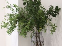 景观位-筑艺咖啡
