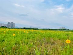 -苏州湾体育公园