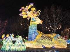 -淄博花灯齐彩城