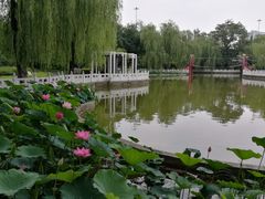 -丰台花园
