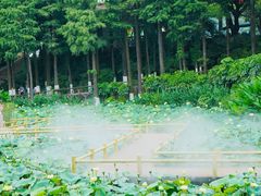 -广州莲花山旅游区