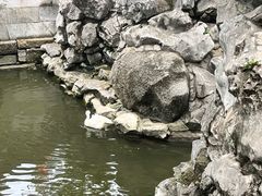 -豫园