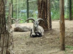 -青藏高原野生动物园
