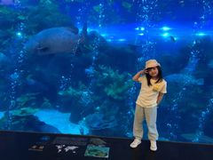 -成都浩海立方海洋公园