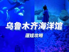 -乌鲁木齐海洋馆