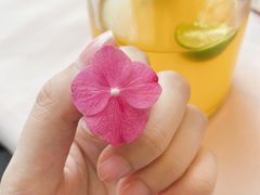 -御花园·粤菜·海鲜火锅(中山公园店)