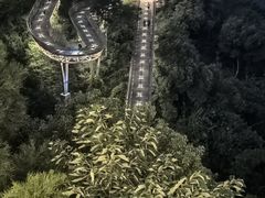-福道