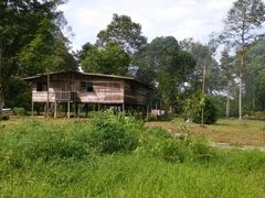 -乌鲁淡布隆国家公园