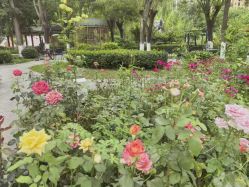 点击看大图 -宝馨月月子中心(友谊医院店)
