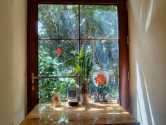 -月亮眼花园餐厅书吧酒吧